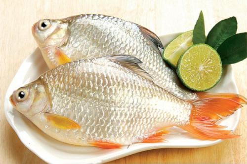 ca-diec-Các loại cá tốt cho mẹ và thai nhi